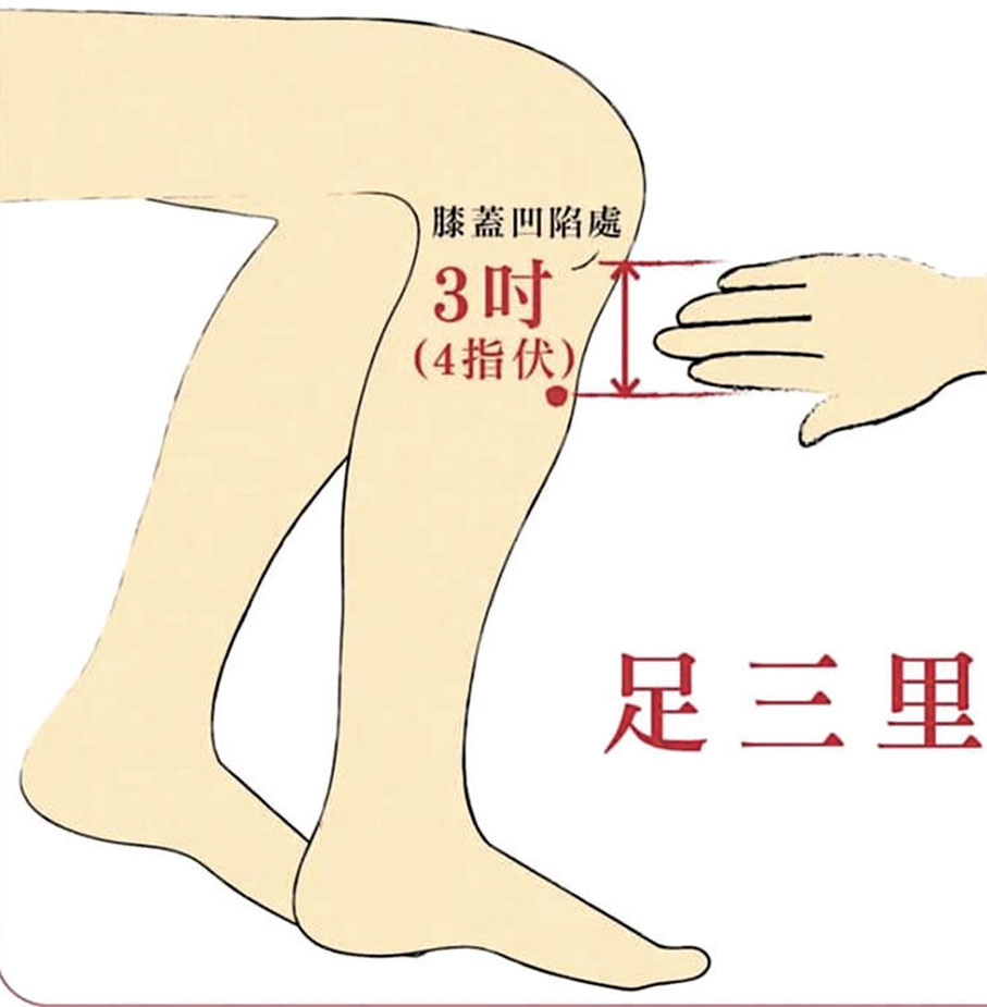 ●足三里穴