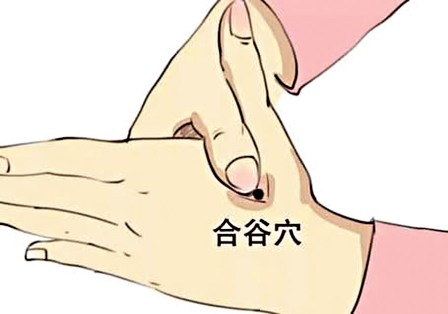 ●合谷穴