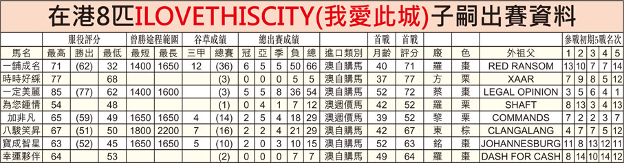 在港8匹ILOVETHISCITY(我愛此城)子嗣出賽資料