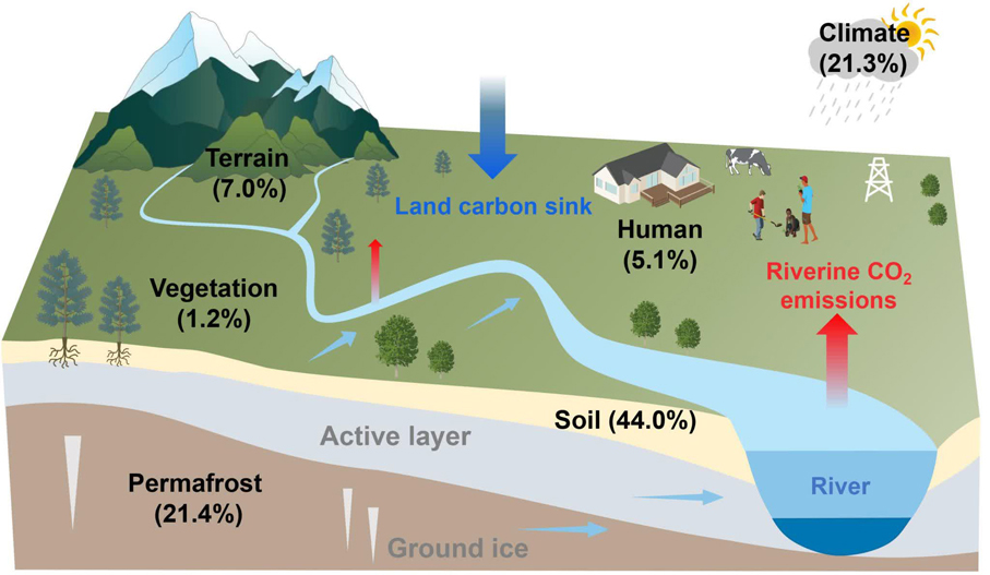 碳循環系統示意圖