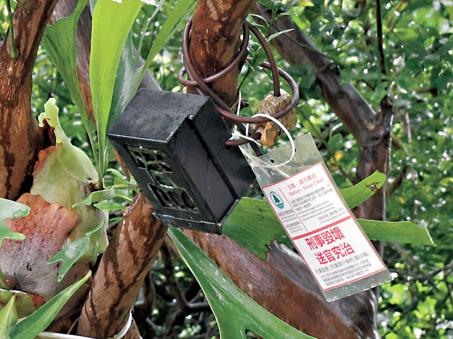 【野豬】紅外線相機　漁護署於2017年引入應用紅外線相機，監測記錄野豬數目及出沒情況，從而協助安排合適行動，包括設置新型捕獸器或安排捕捉行動，進一步提高效率。此外，署方亦於個別非法餵飼野豬「黑點」安裝紅外線相機，偵察非法餵飼情況，以便搜集資料及安排執法行動。