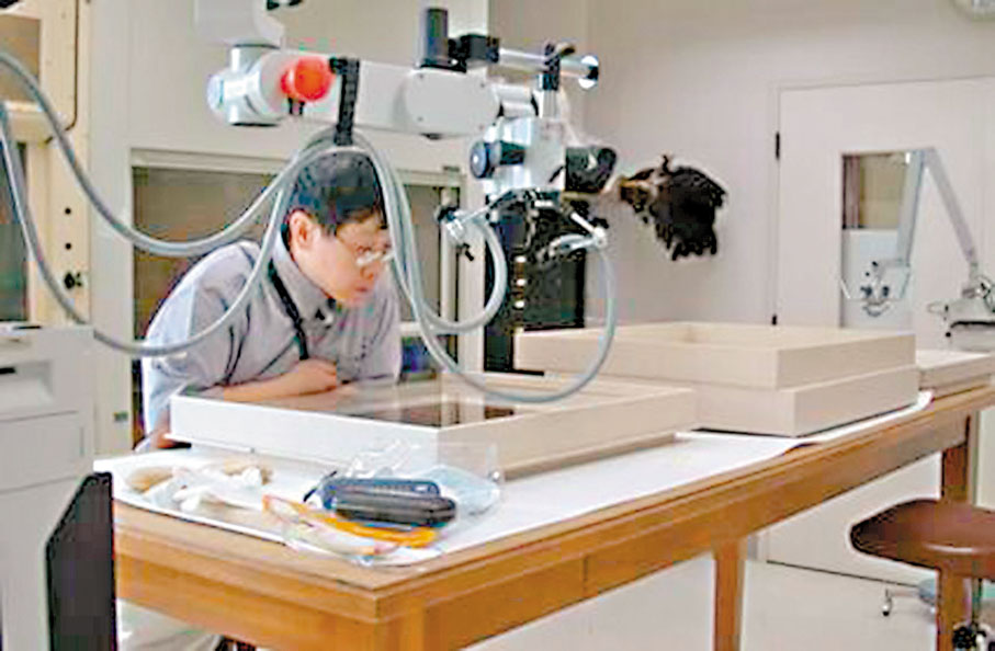 ●調查楚帛書故事的李零。 網上圖片