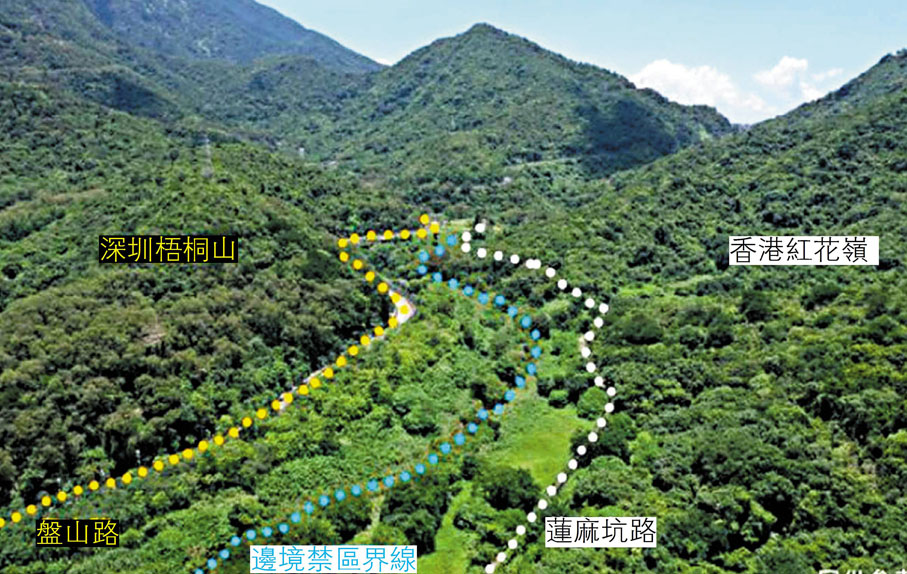 ●「深圳梧桐山—香港紅花嶺生態廊道」結合生物多樣性保護與民生需求，成為大灣區自然保護地管理的創新典範。 資料圖片