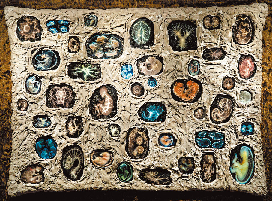 ●《Embryos》2025