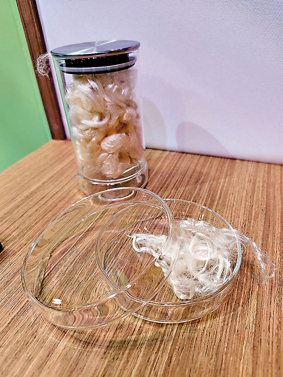 ●由海藻製成的100%天然物料—AlgaFila。