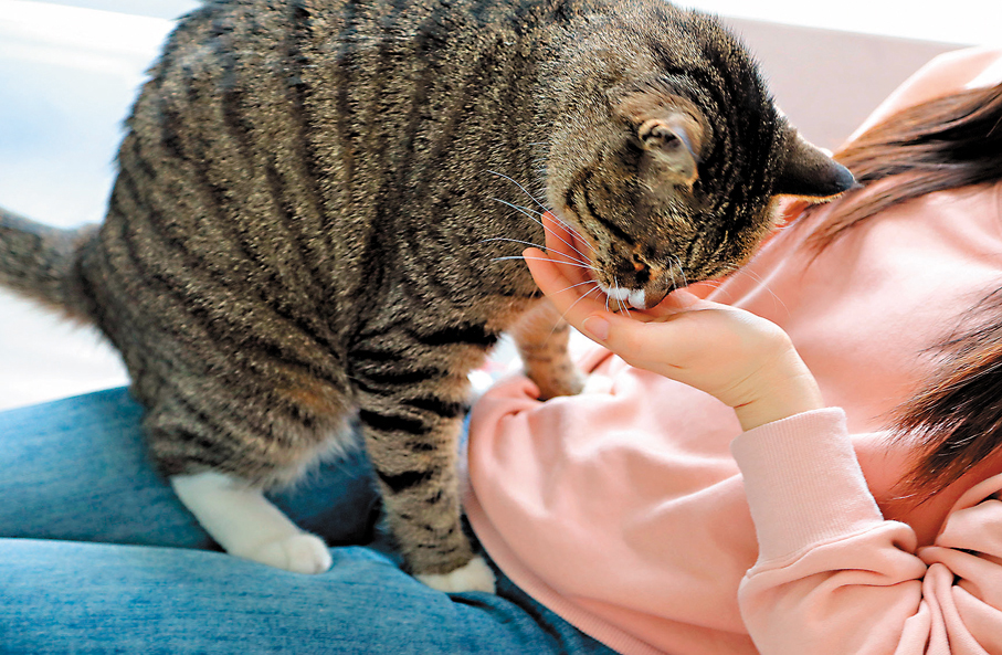 ●「方醫生」與來訪患者親密接觸。香港文匯報山東傳真