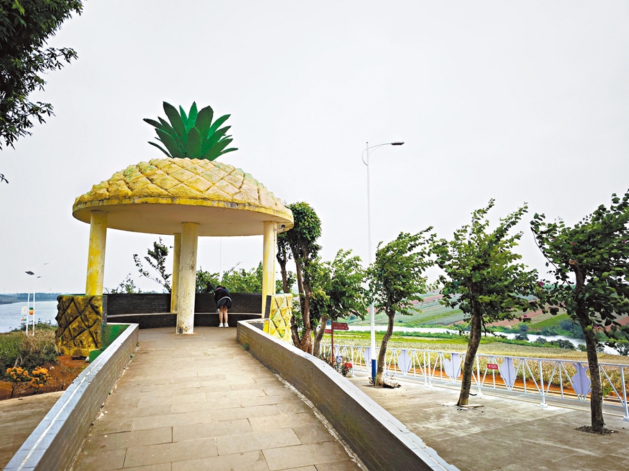 ●菠蘿的海觀景台