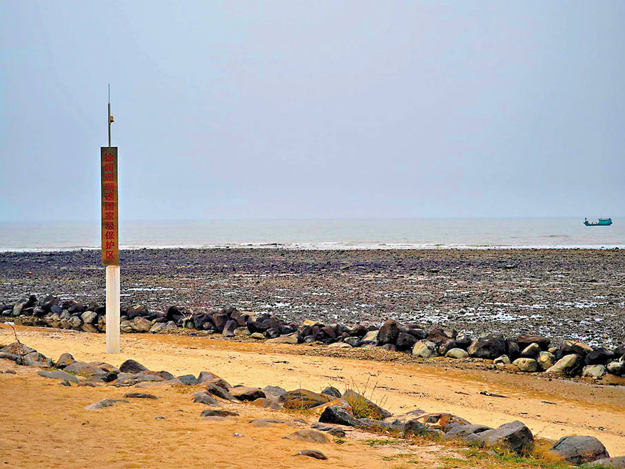 ●國家級珊瑚保護區，吸引遊客前來賞景。