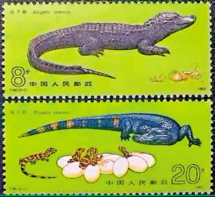 ●《揚子鱷》郵票（1983）