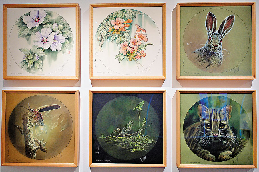 ●曾孝濂致力於探索科學與藝術兼具的博物畫。