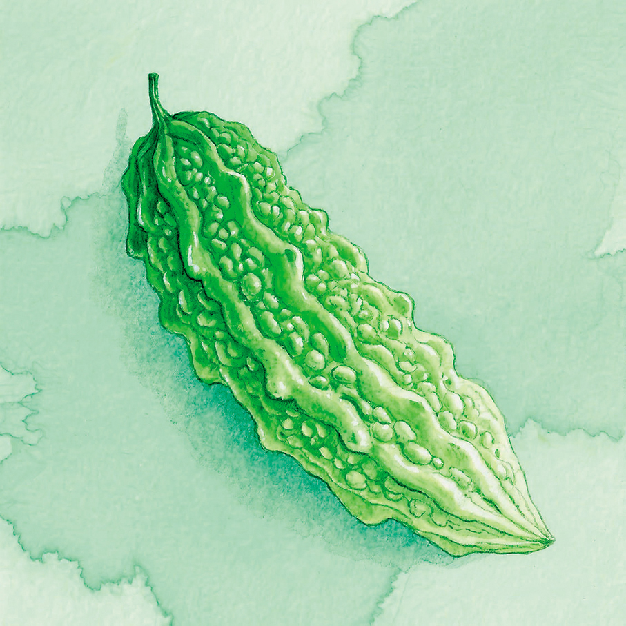 ●苦瓜蘊含着獨特的滋味和深刻的哲理。AI繪圖