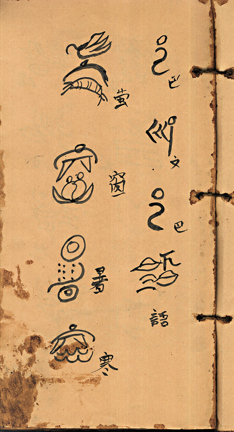 ●古籍《東巴子庵》中「巴文巴語，螢窗暑寒」的內容。