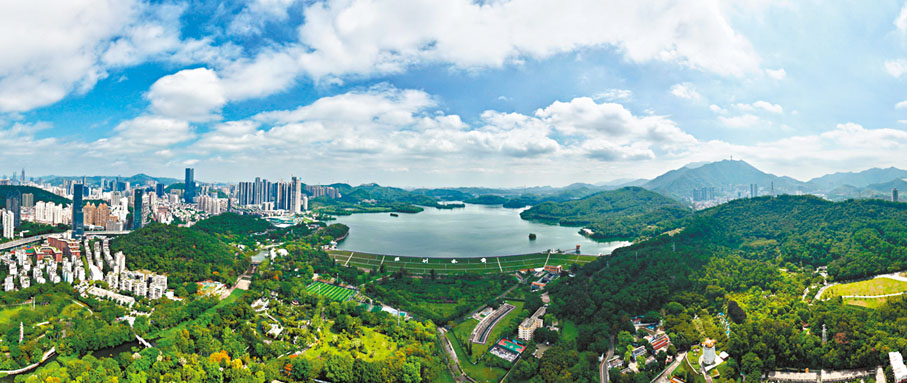 ●深圳水庫全貌。深圳特區報苗威 攝