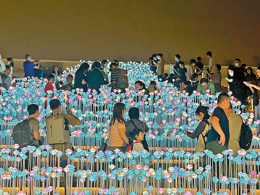 ●東九文化中心的LED花海吸引市民影相打卡。 資料圖片