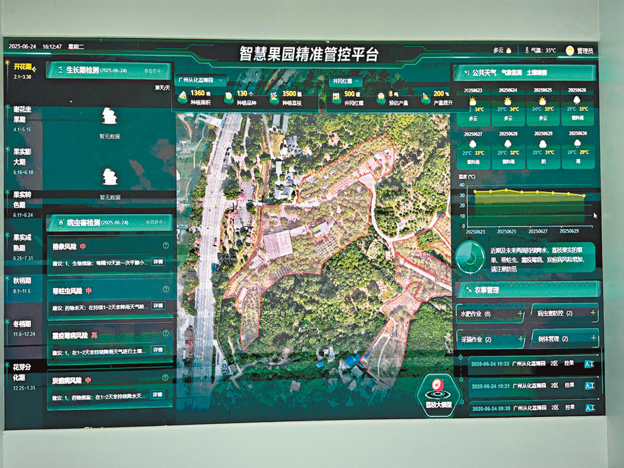 ●從化荔博園內,智慧果園精準管控平台在大屏幕上實時顯示荔枝樹的情況。
