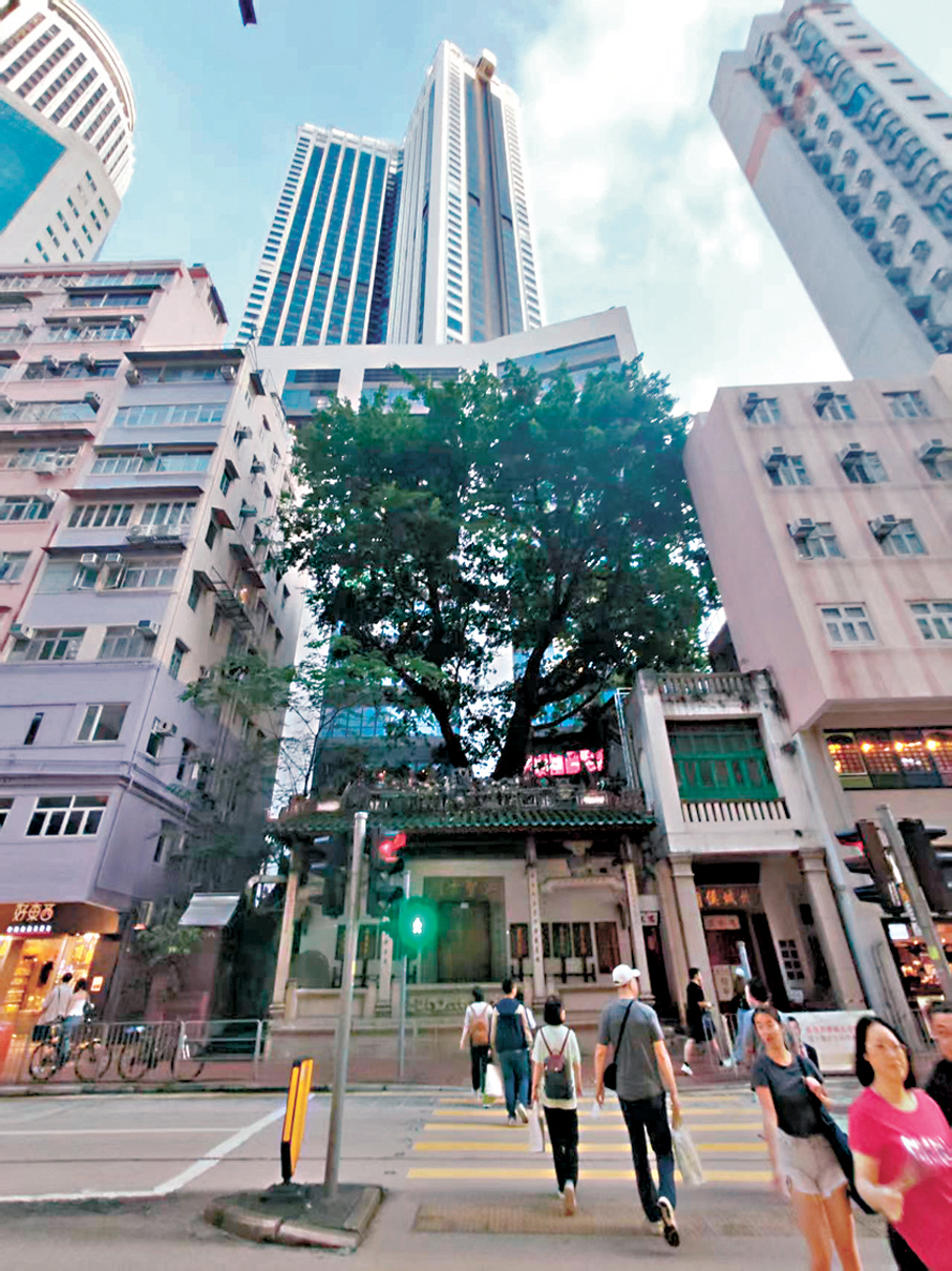 ●根據前人回憶錄，洪聖古廟後山曾有兩個對外稱為酒店和食肆的日軍軍官高級慰安所，其位置大約為合和中心附近。圖為洪聖古廟。