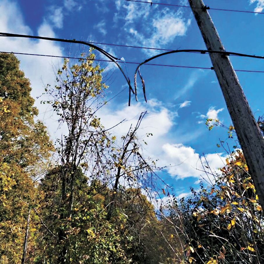 ●電訊商Bell在網站展示銅線電纜組件受損情況。 成小智 攝