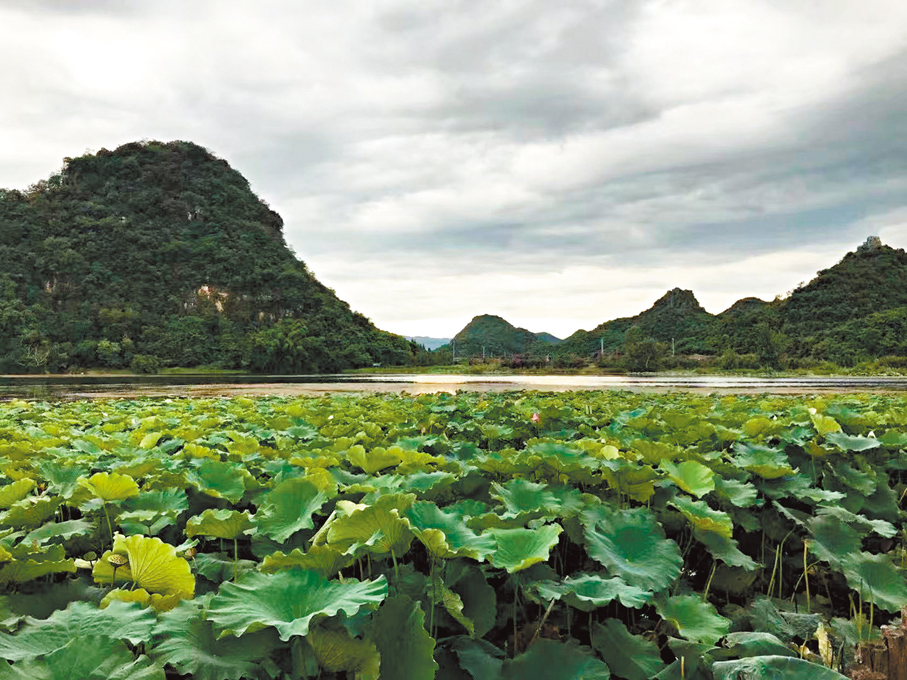 ●普者黑是一幅喀斯特地貌的山水畫卷。