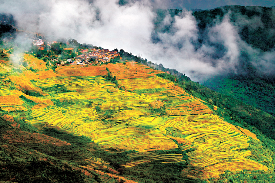 ●元江縣雲海梯田