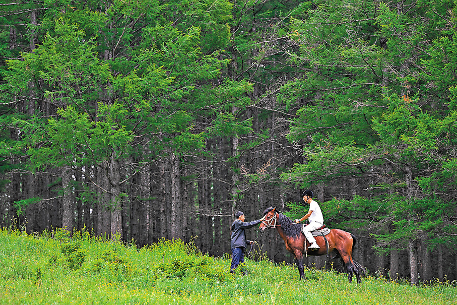 ●7月5日，遊客在內蒙古阿爾山國家森林公園體驗騎馬。     資料圖片