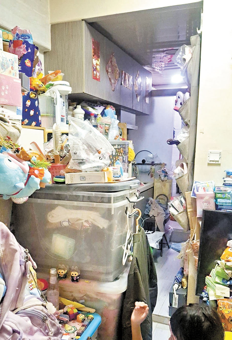 ●林女士家中環境。 受訪者供圖