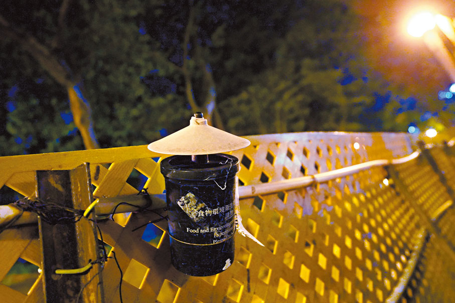 ●食環署各區的誘蚊產卵器，近月錄得的指數均上升。 香港文匯報記者曾興偉  攝