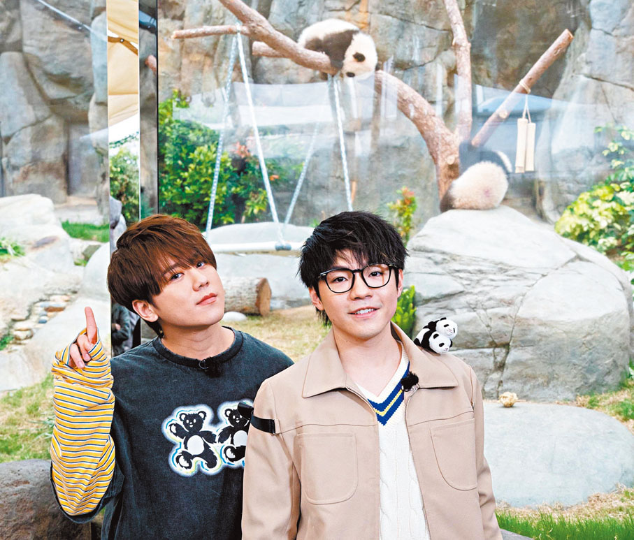 ●姜濤參與了保育活動，他早前和陳卓賢成為港產龍鳳胎熊貓的星級「契爸」。 資料圖片