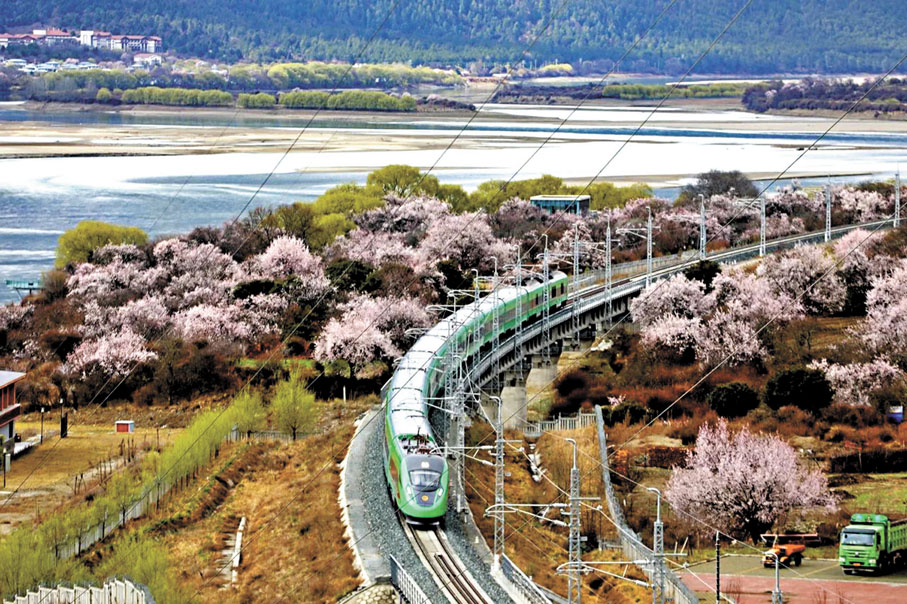 ●今年3月,青藏集團公司繼續開行「天路格桑花·相約林芝」號旅遊列車,滿足廣大旅客春季進藏踏春賞花出行需求。香港文匯報西安傳真