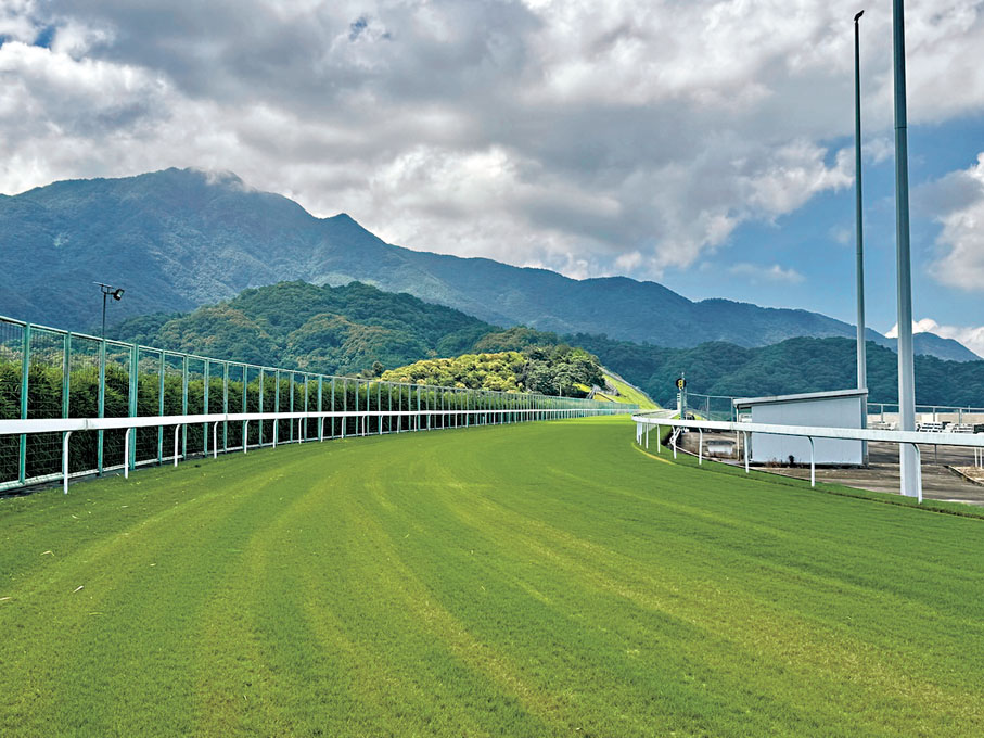 ●從化馬場擁有全亞洲唯一一條馬匹專用登山跑道,堪稱馬兒「天然健身房」。香港文匯報記者李紫妍 攝