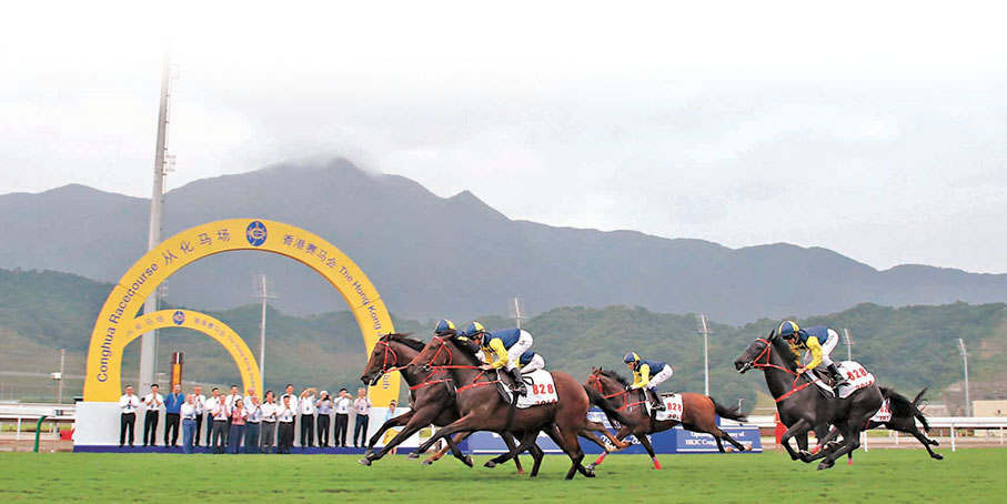 ●香港賽馬會將為十五運會馬術賽提供設備及技術支持。圖為香港騎師策騎駿馬在從化馬場馳騁。 網上圖片