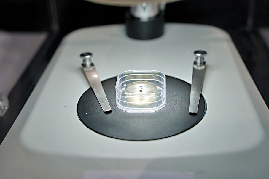 ●嫦娥五號採集的月球正面月壤。大公文匯全媒體記者周傾芫  攝