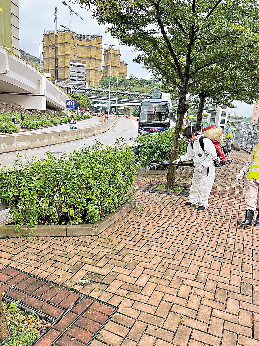 ●食環署聯同房屋署人員到觀塘安達邨及外圍的公眾地方，加強滅蚊和防蚊工作，包括清除積水和施放殺蟲劑。 環境及生態局Fb圖片