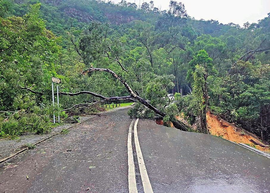 ●大埔新娘潭路近涌背出現大面積山泥傾瀉，道路要封閉。 土木署Fb圖片