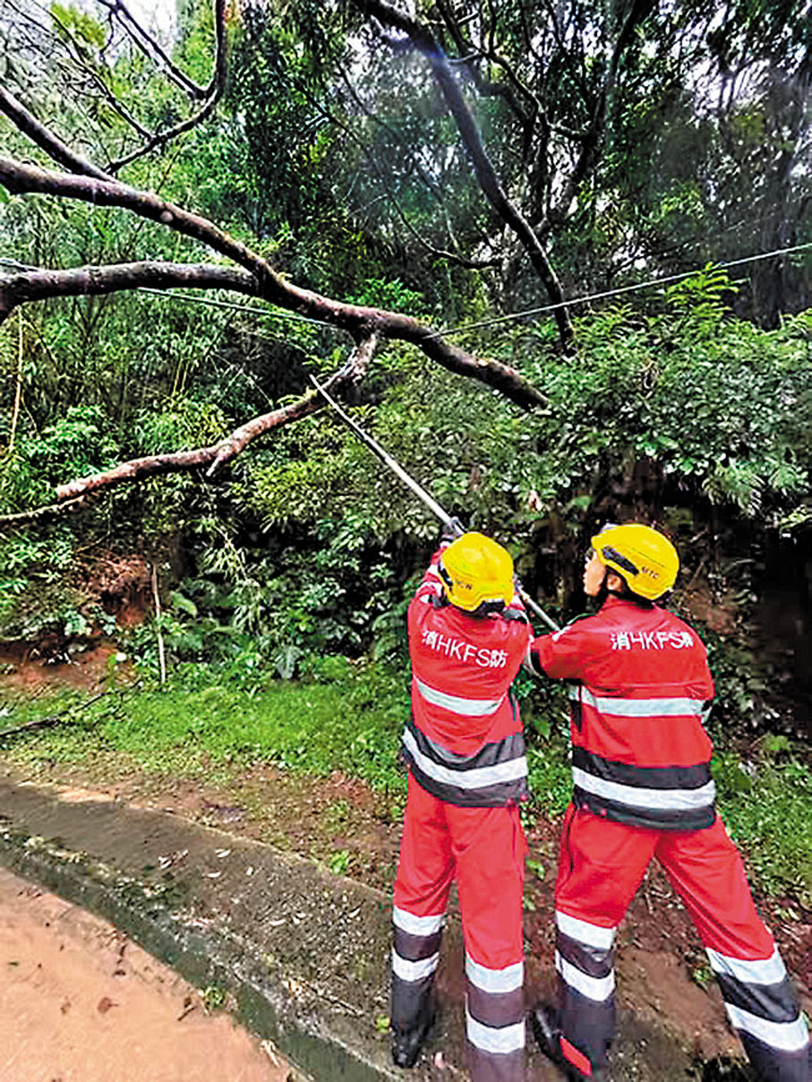 ●消防人員清理倒塌的樹木。香港消防處Fb圖片