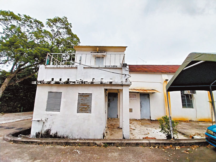 ●黃毛應玫瑰小堂