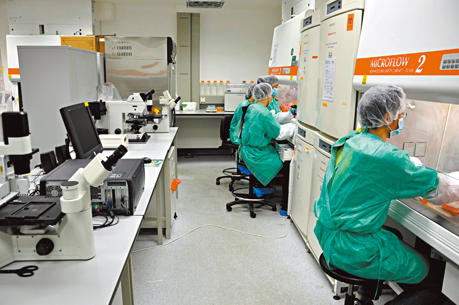 ●醫克生物團隊正在進行愛滋病治療性疫苗的實驗。 受訪者供圖