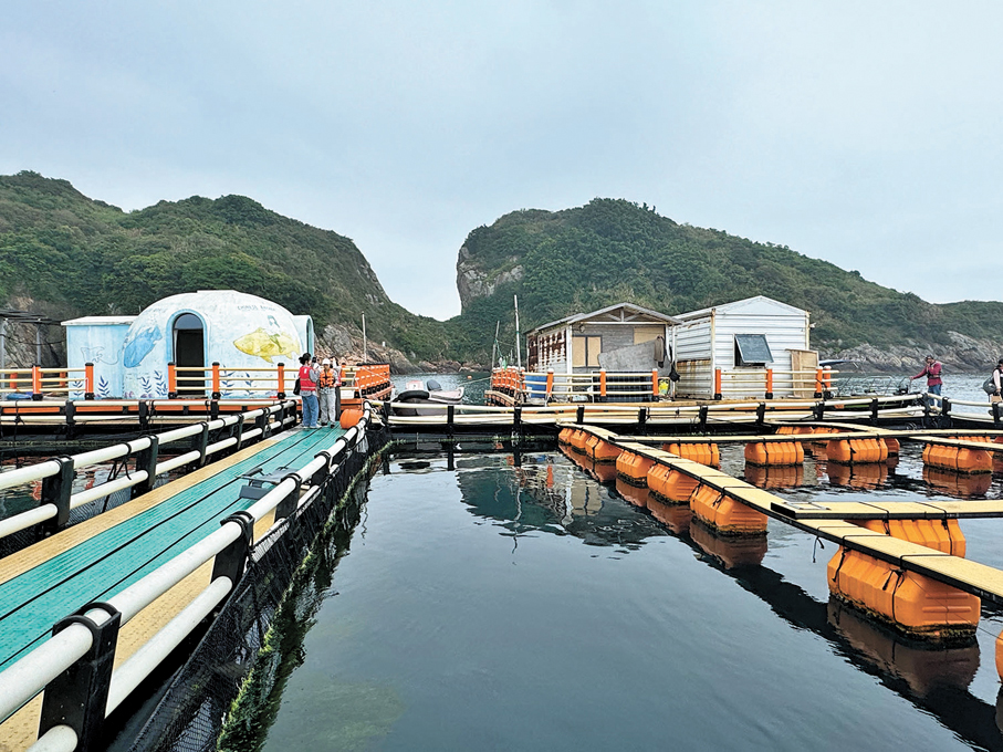 ●一方海（廣東）海洋牧場養殖區，有重力式深水網箱185個，貝類和藻類養殖區有200多畝。