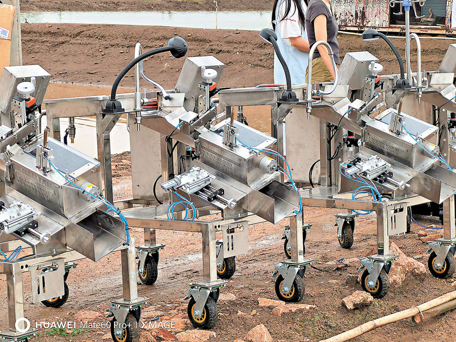 ●中山大學研究人員在使用魚類疫苗自動接種裝備為海鱸注射疫苗。 香港文匯報惠州傳真