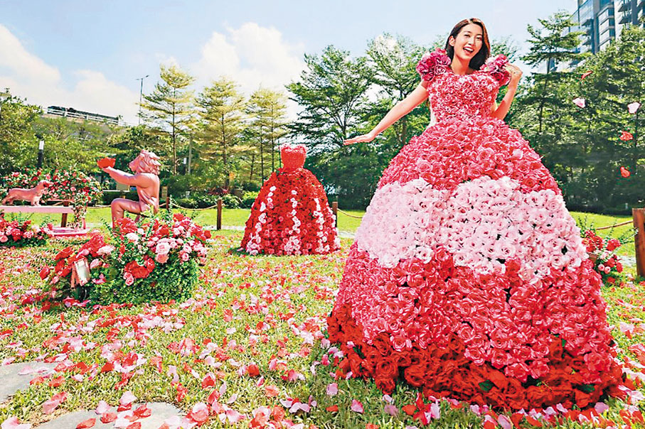 ●大家可化身為「紅裙翩翩」的玫瑰舞者。