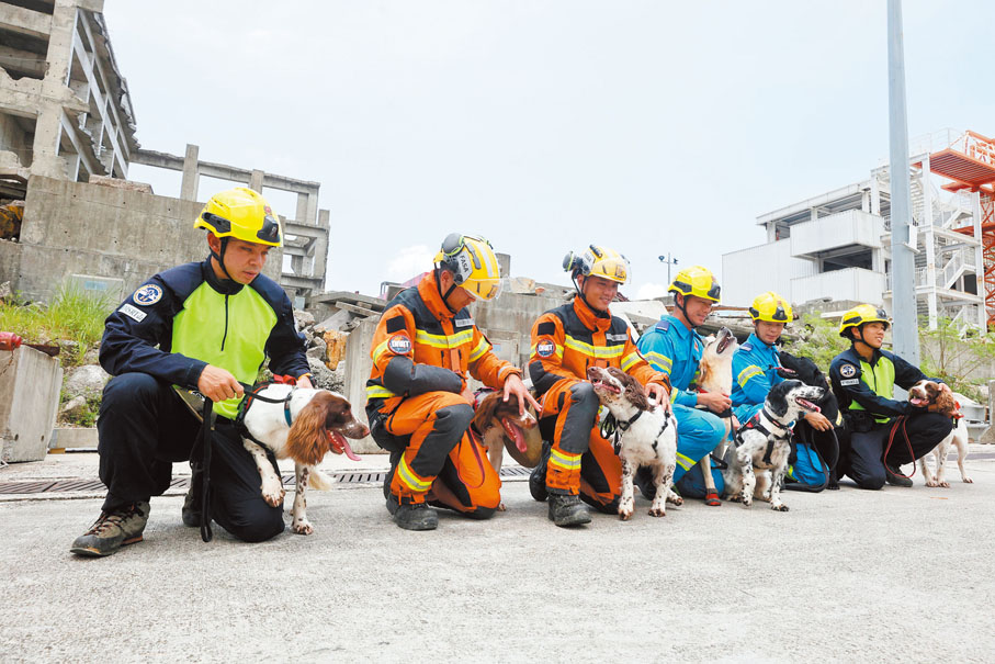 ●消防處消防犬隊5隻搜救犬、2隻火警調查犬及其領犬員。 香港文匯報記者郭木又 攝
