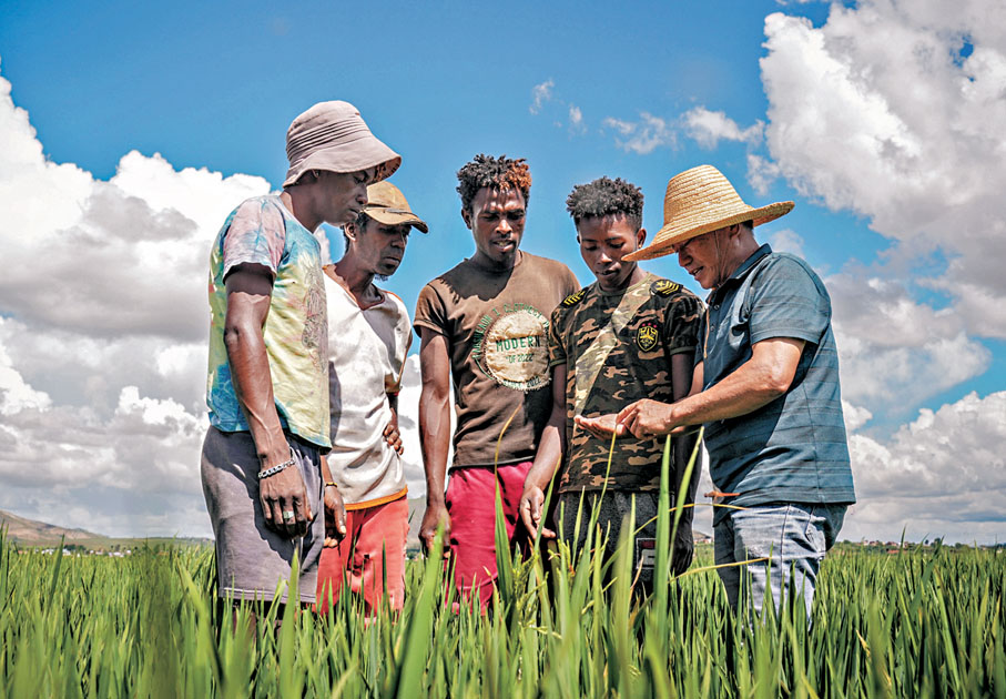 ●2025年3月25日，在馬達加斯加馬希齊鎮，中國農業專家向當地稻農介紹水稻生長情況。 資料圖片