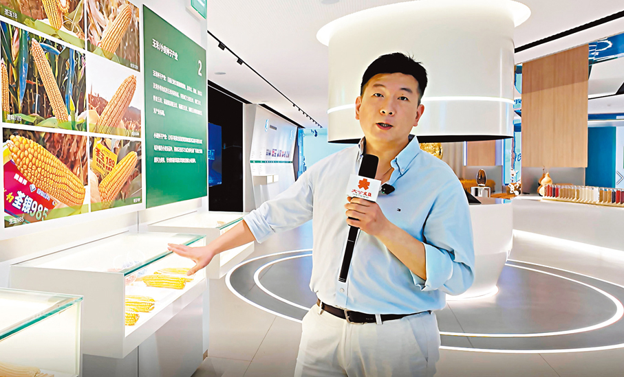 ●王宏鵬介紹團隊研發推廣的玉米品種。 香港文匯報記者趙臣 攝