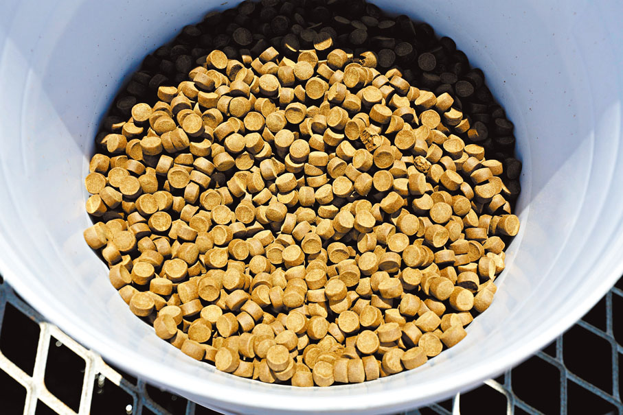 自動投餌系統。香港文匯報記者郭木又 攝