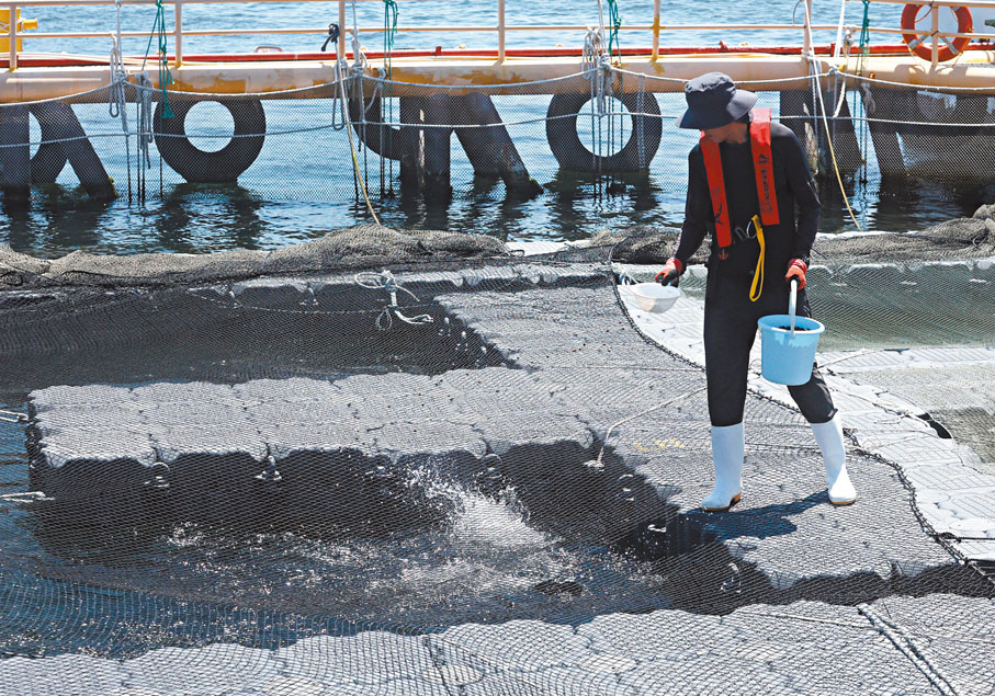 ●漁護署於東龍洲設立現代化海產養殖示範場，引入的抗風浪鋼鐵桁架網箱技術。香港文匯報記者郭木又  攝