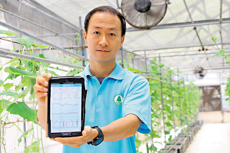 ● 張栢然輕觸控制面板，示範這座農業「智慧堡壘」的運作奧秘。香港文匯報記者黃艾力 攝