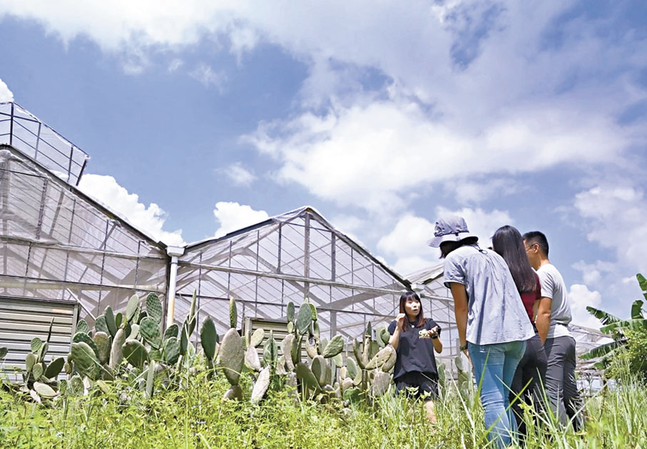 ●「農+樂」農場計劃導賞團。 漁護署供圖