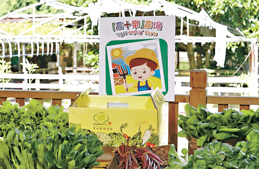 ●「農+樂」農場售賣自家生產的農作物。漁護署供圖