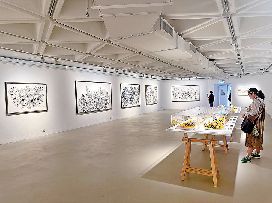 ●「金政基︰無盡線條之旅」展覽現場。