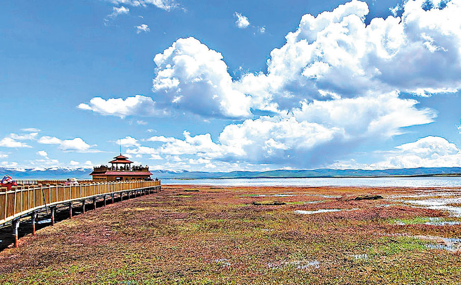 ●尕海則岔國家級自然保護區是全國少有、甘肅唯一涵蓋「山水林田湖草」全自然生態類型的保護區。