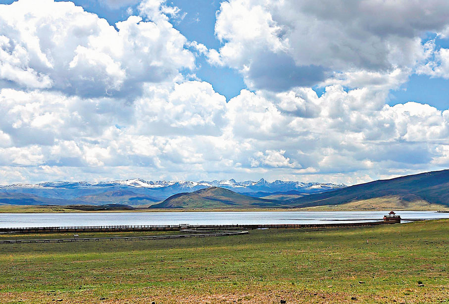 ●尕海濕地是許多珍稀鳥類南遷北返的落腳點和繁殖基地。